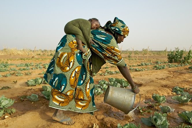 [Oxfam+in+Africa.jpg]