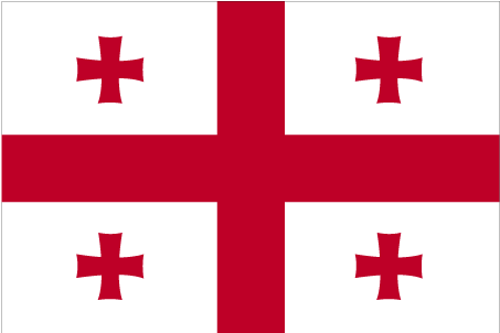 [large_flag_of_georgia.gif]