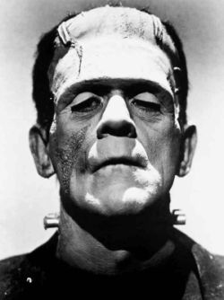 [Frankenstein_monster_Boris_Karloff.jpg]