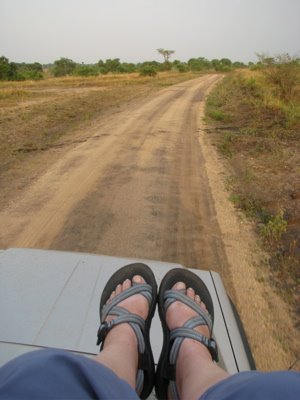 [safari+feet.jpg]
