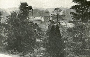 view of the brewery through the trees