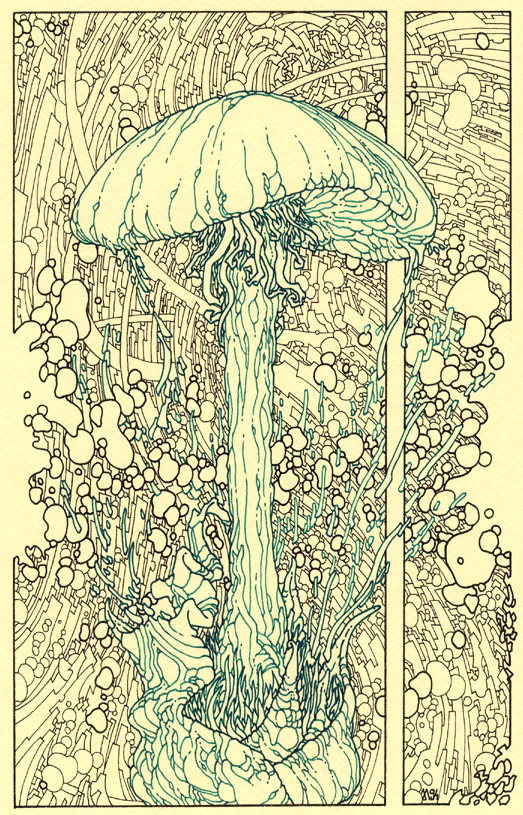 [Mushroom.jpg]