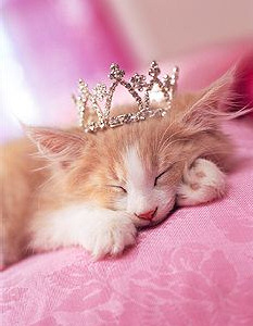 [princess_kitty.jpg]