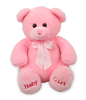 [pink-teddy-bear.jpg]