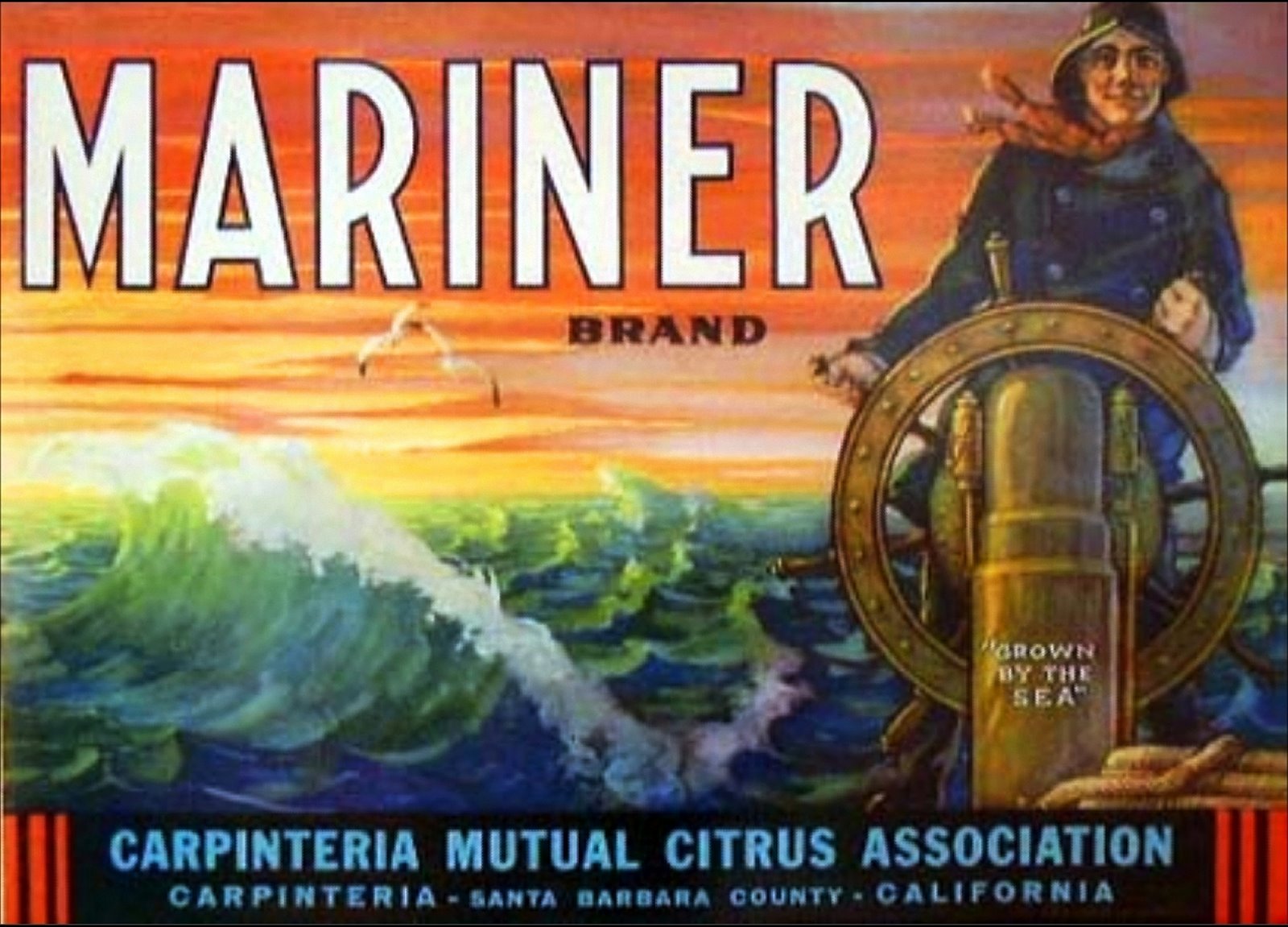 [Mariner-Brand-Citrus.jpg]