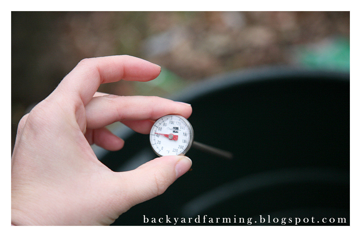 [backyard+farming+soil+temperature+1.jpg]