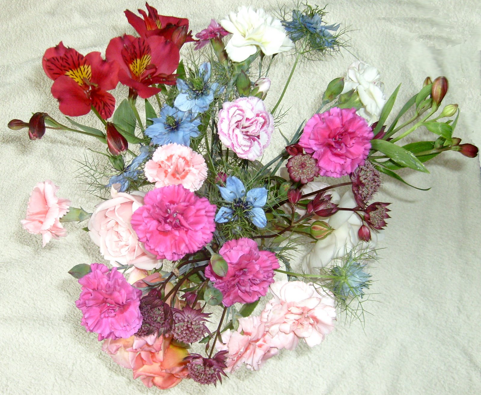 [xx-11-June-Flowers.jpg]