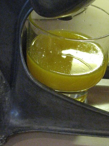 [fresh+orange+juice.jpg]