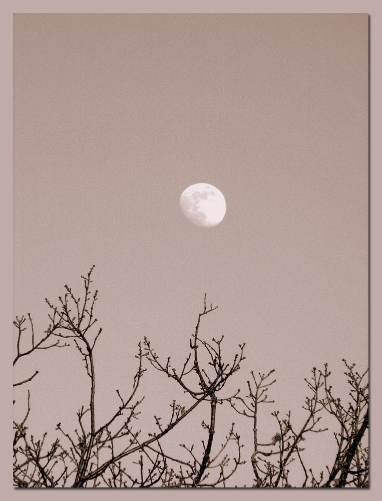[Moon.jpg]