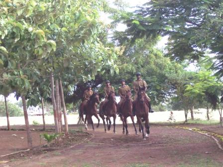 [5.Horse+Riding.JPG]