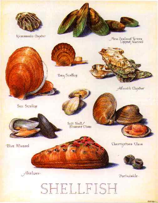 [post-shellfish.jpg]