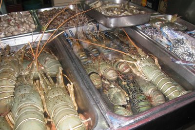 [lobster2.JPG]