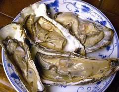 [oyster3.jpg]