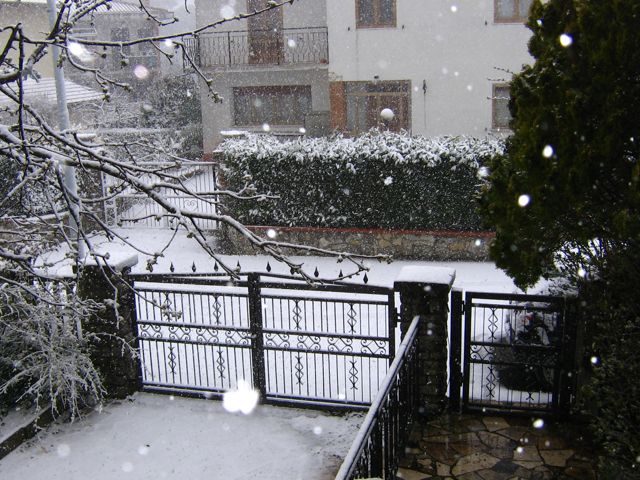 [Snow+Day.jpg]