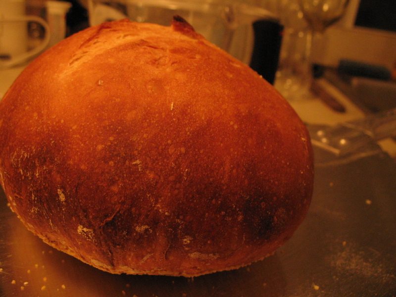 [No-Knead+Hearth+Bread+06_4_1.JPG]