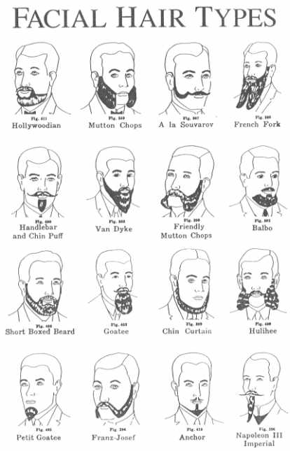 Beard Types Chart