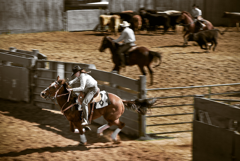 [Horse_and_Rider_JennyArnez.jpg]
