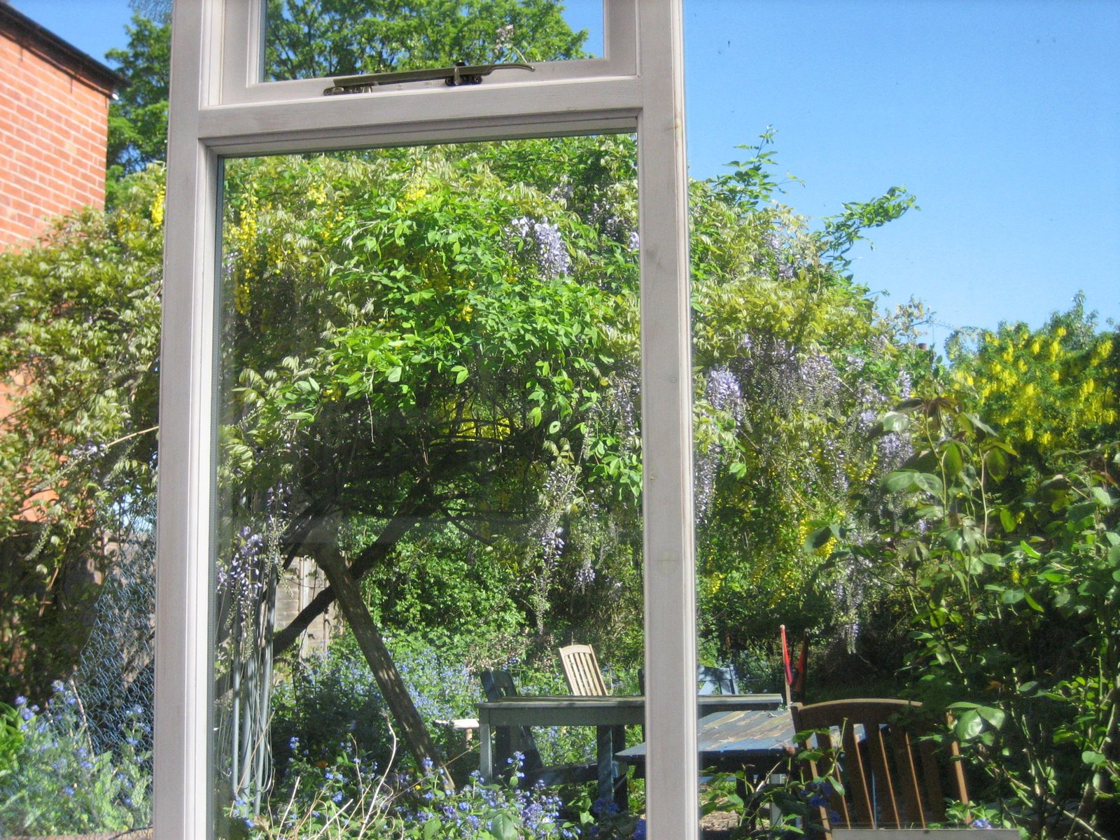 [garden+through+window.JPG]