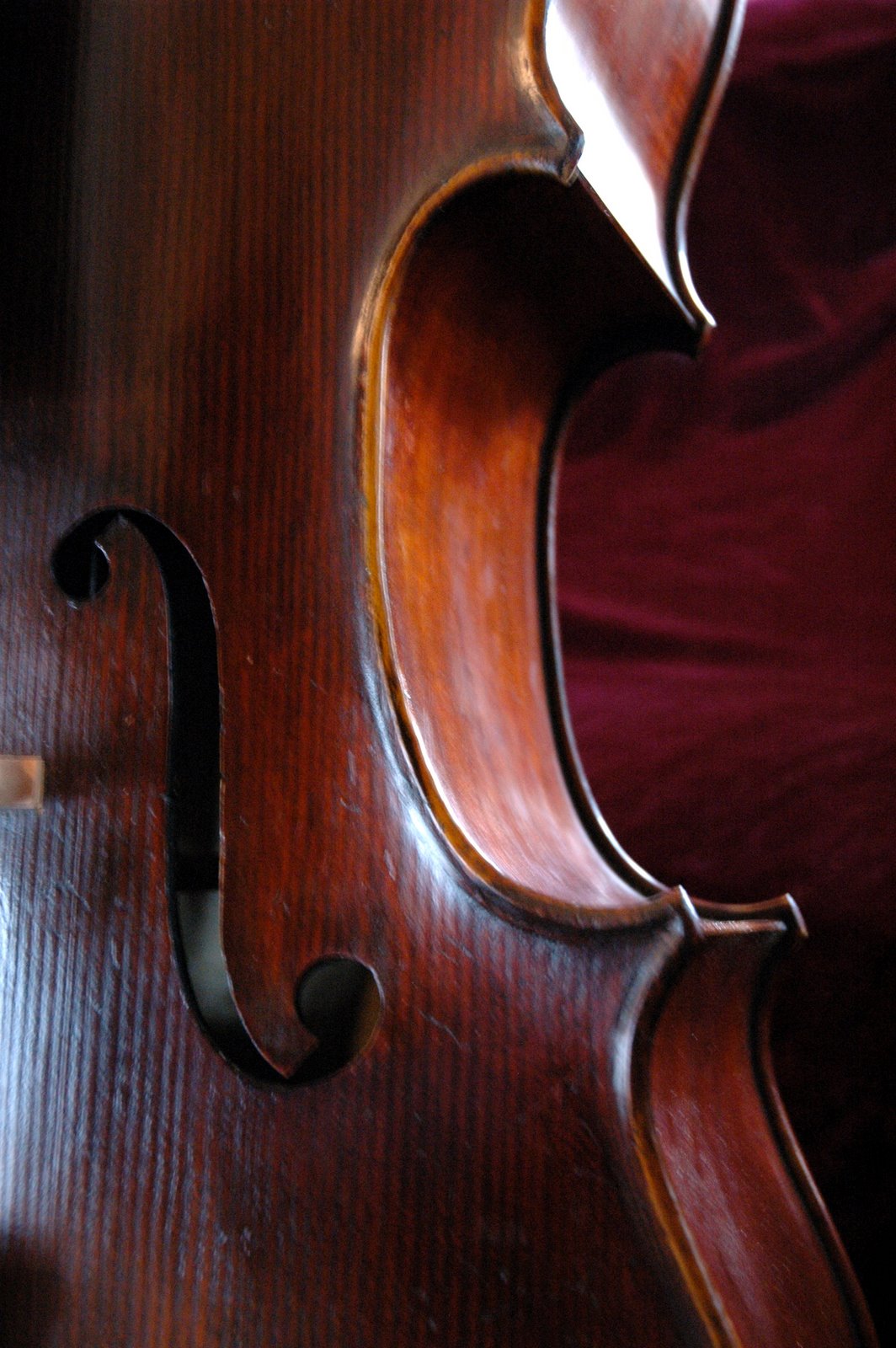 [cello_1948.jpg]