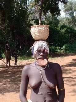 [mursi+woman+with+lip+plate+and+scarification.bmp]