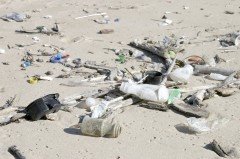 [beach+trash.jpg]