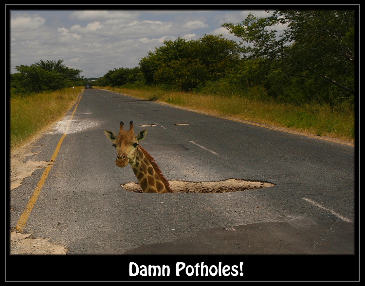 [Potholes+image0013.jpg]