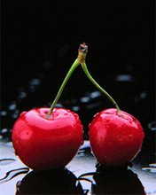 [03+Cherries.bmp]