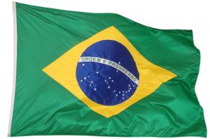[494501_brazilian_flag.jpg]