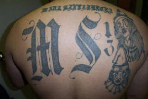 images of MS 13 tattoos