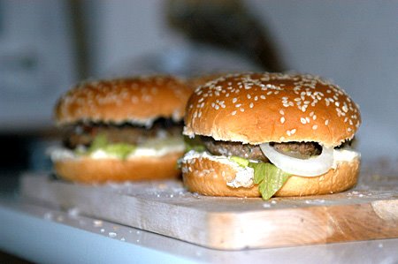 [hamburger+2.jpg]