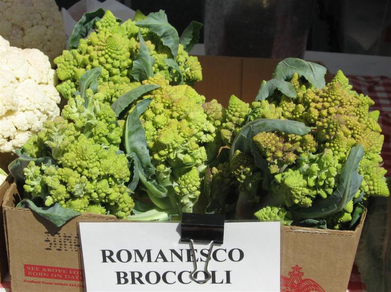 [Romanesco+Broccoli+(Medium).jpg]