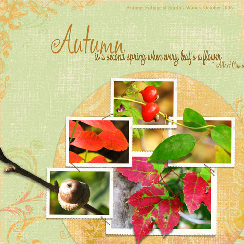 [autumnisasecondspring-cotta.jpg]