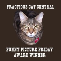 [funny+picture+friday+award.JPG]