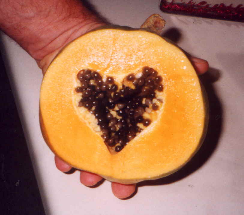 [Papaya+Heart.jpg]