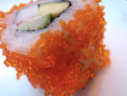 [Sushi5.jpg]