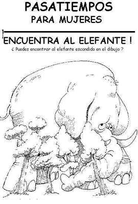[elefante.jpg]