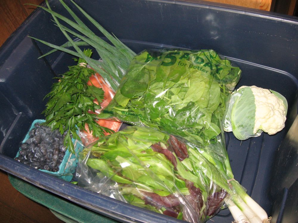 [fresh+veggies+in+box.jpg]