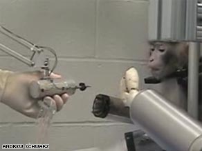 [monkeys-robot.jpg]
