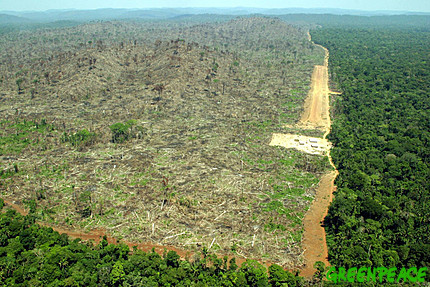 [deforestation-and-land.jpg]
