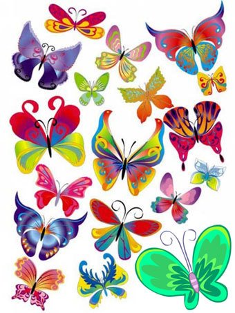 [Vector+Buterfly+Collection.jpg]