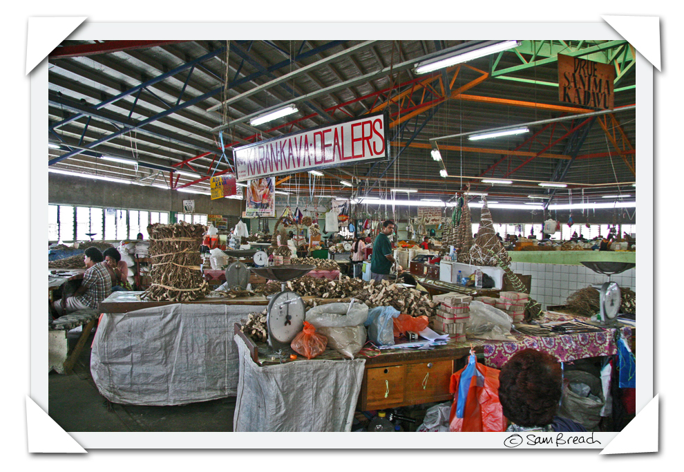 [Fiji+Suva+Market+Kava+Dealers+by+Sam+Breach+1.jpg]