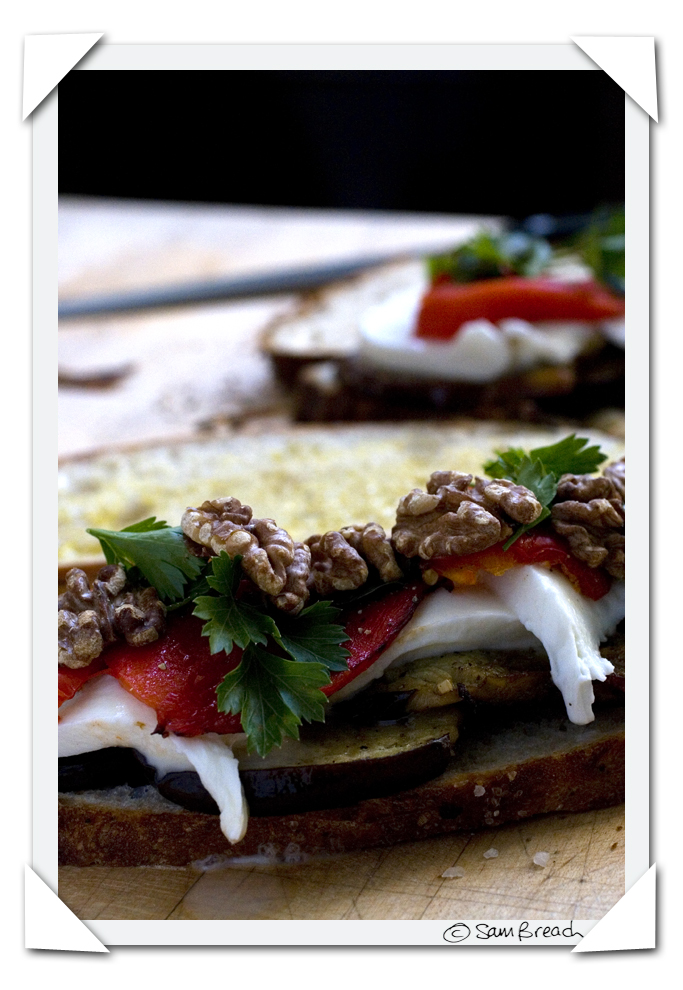 [aubergine+sandwich+by+sam+breach+1.jpg]