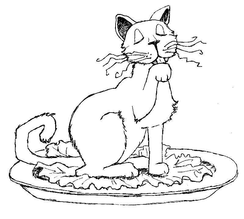 [Cat+on+plate.png]