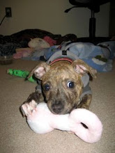 Miracle is enjoying her toys & the extra love & round the clock care she gets from her doctors.