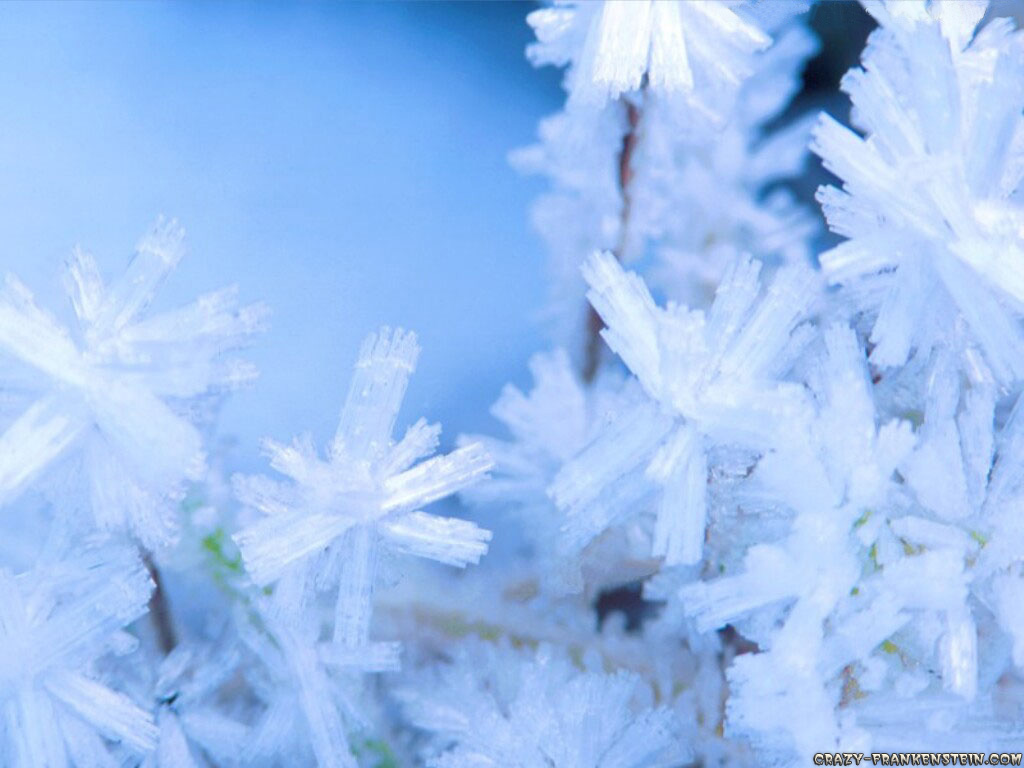 [snow-cristal-decorations.jpg]
