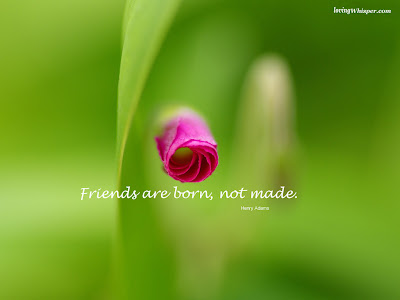 friendship quotes with wallpapers. friendship quotes with wallpapers. friendship quotes wallpapers.
