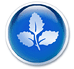 [logo-button-blue.gif]