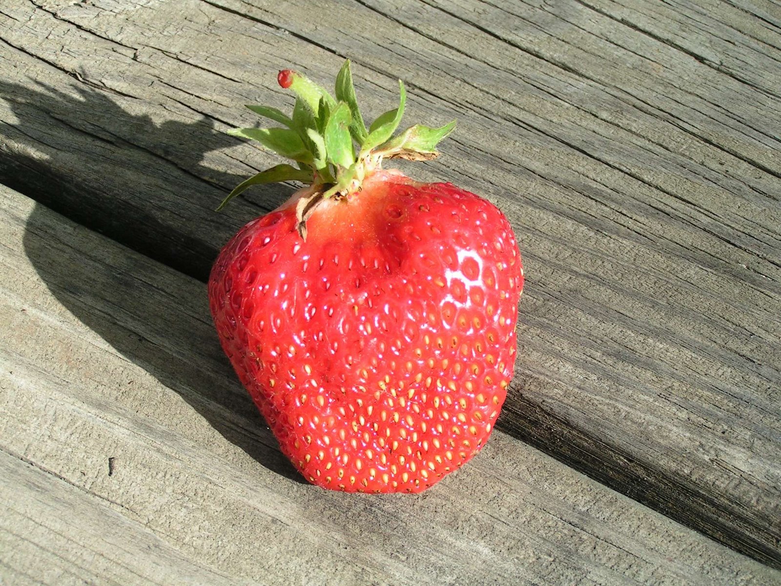 [Strawberriesetc_045.jpg]