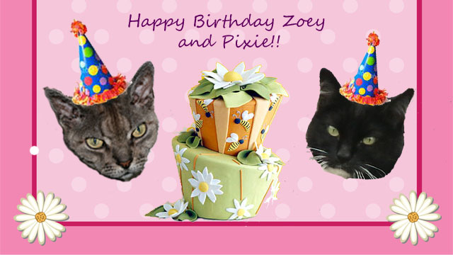 [Zoey-and-Pixie-Birthday.jpg]