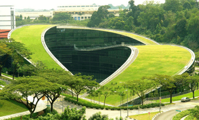 [singapore+green+roof.png]